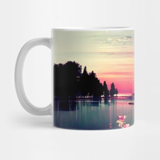 The sky is in roses and they are multicolored Mug